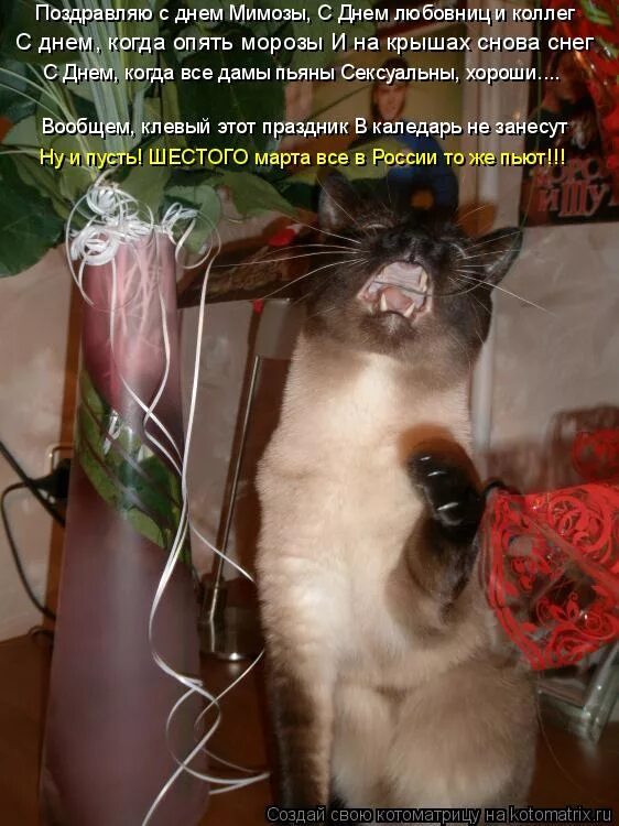 поздравляю с днем мимозы днем любовниц