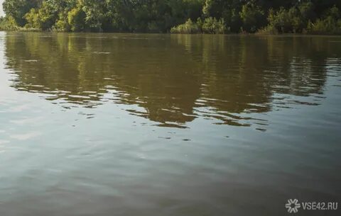 Вода в кии