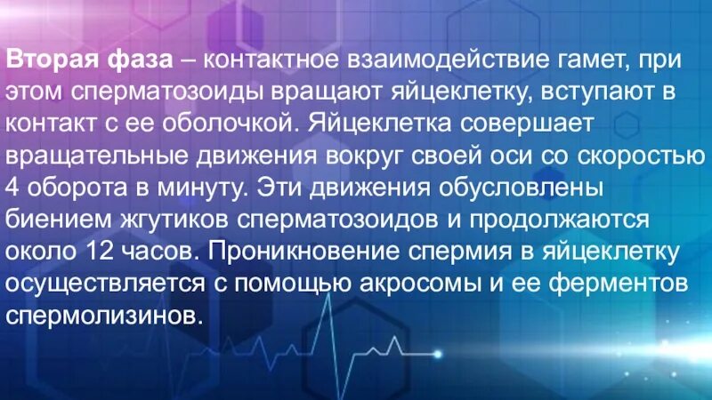 Акросомальная реакция. Фаза контактного взаимодействия. Контактное взаимодействие оплодотворение. Фаза контактного взаимодействия. Акросомальная реакция.