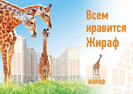 Оранжевый жираф липецк