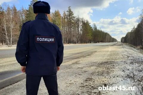 Курганская область работа водителем