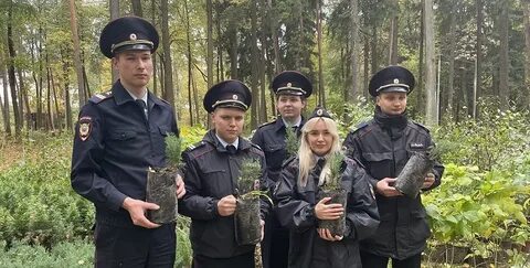 Полиция ногинск
