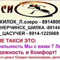Муравей чита хилок