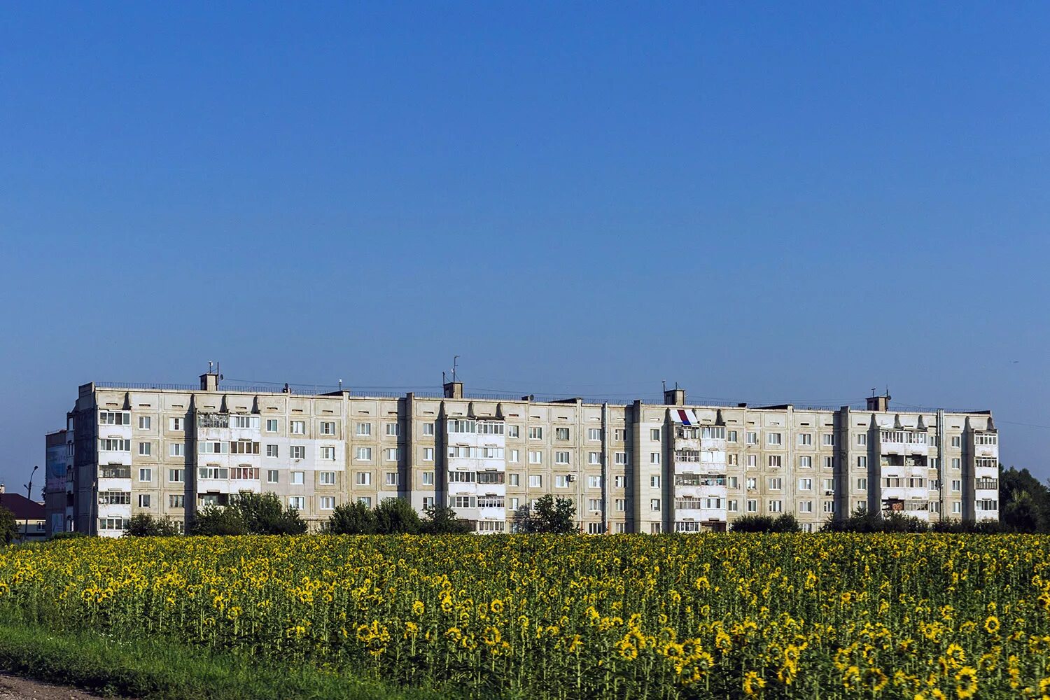 Работа майна ульяновская область. Новая майна Ульяновская область. Новая майна Димитровград. Ульяновск новая майна. Гренада новая майна.