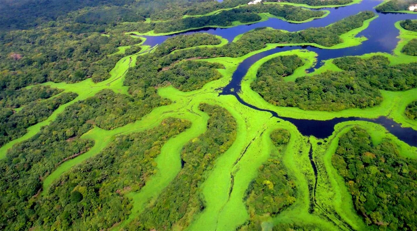 Какие крупные реки находятся на амазонской низменности. Река Амазонка в Бразилии. Бразилия Амазонская низменность. Манаус Бразилия Амазонка. Южная Америка Амазонская низменность.