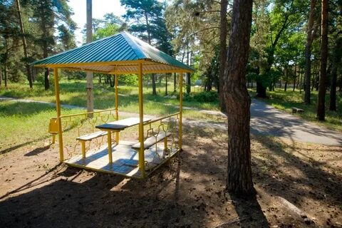 Лагерь лесной самара отзывы