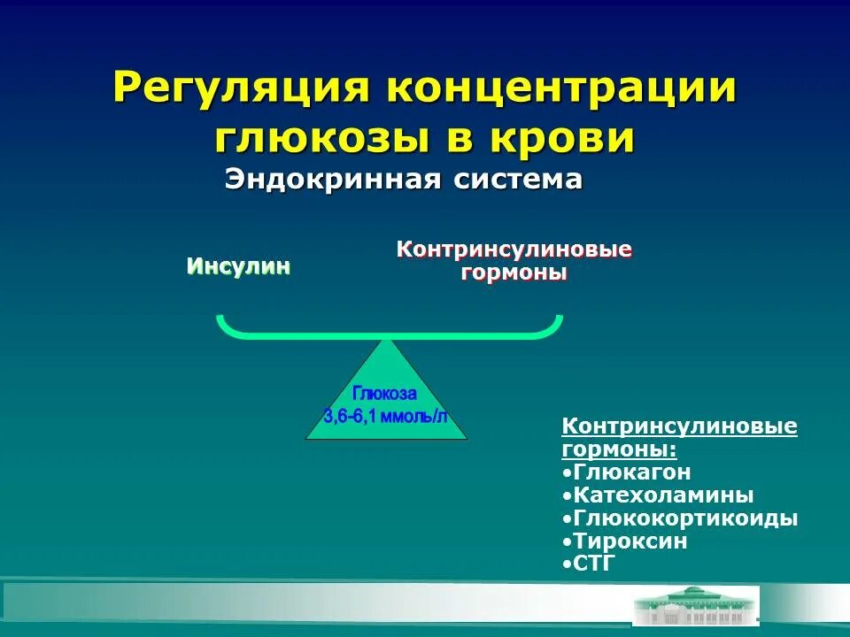 Повышение глюкозы в крови гормон. Регуляция концентрации Глюкозы в крови. Гормональная регуляция концентрации Глюкозы в крови. Механизмы поддержания нормальной концентрации Глюкозы в крови. Концентрация гормона инсулина.