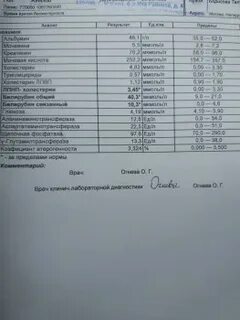 Билирубин инвитро