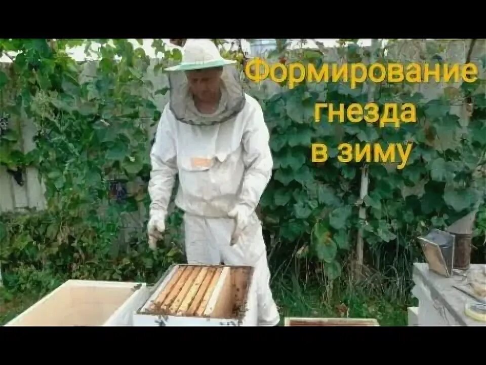 Как формировать гнездо. Как формировать гнездо