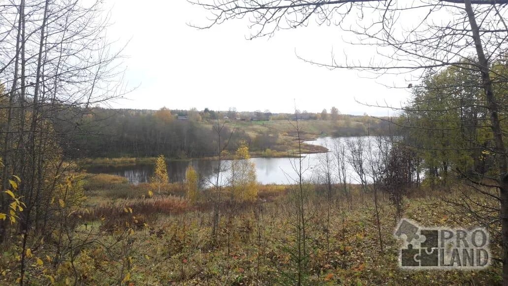 Остров войцы новгородская область. Наволок новгородская область. Остров войцы озеро ильмень. Деревня наволок новгородская область. Остров войцы озеро ильмень.