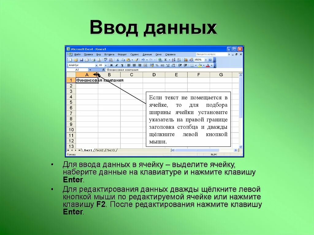 Ввод данных в ячейки excel. Ввод числовых данных в эксель. Ввод данных в таблицу excel. Ввод данных в ячейки MS excel..