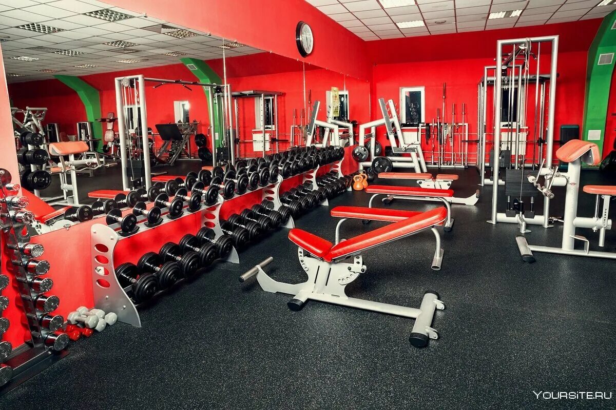 Спортклуб. Тренажерный зал Сити фитнес Новокузнецк. Спортзал Сити Молл Новокузнецк. Новокузнецк Сити Молл фитнес зал. Спорт зал Харт Новокузнецк.