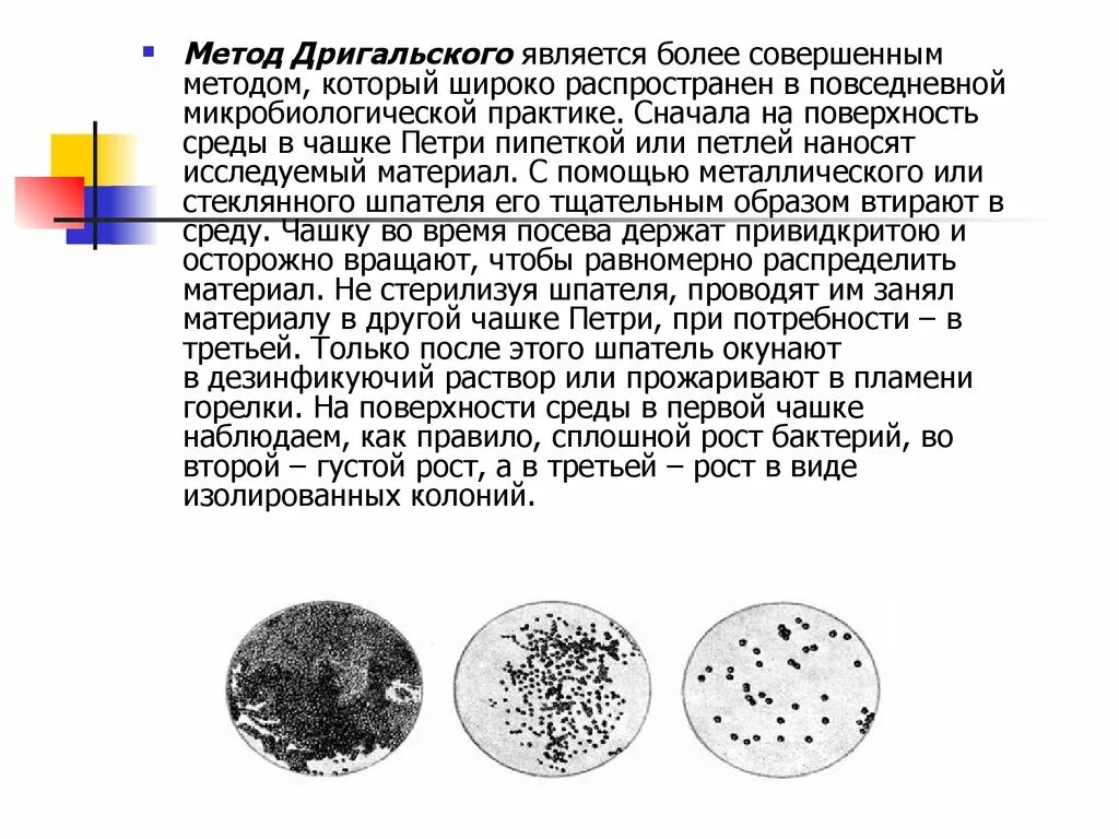 Ростом бактерий называется. Культуральные свойства микроорганизмов. морфология бактерий. культуральные свойства бактерий. метод дригальского этапы.