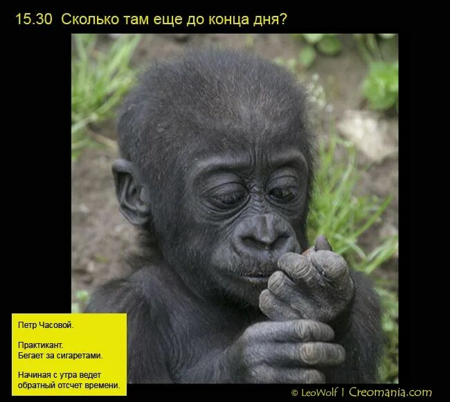 А что ты там долго