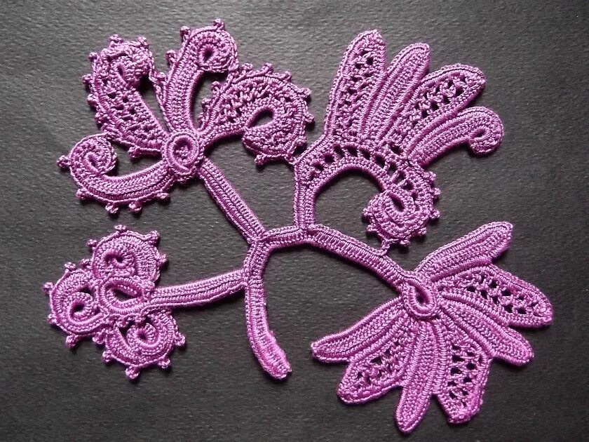 ирландское кружево цветы. ирландское кружево видео. ирландское кружево видео. чертополох ирландское кружево. ирландское кружево видео.