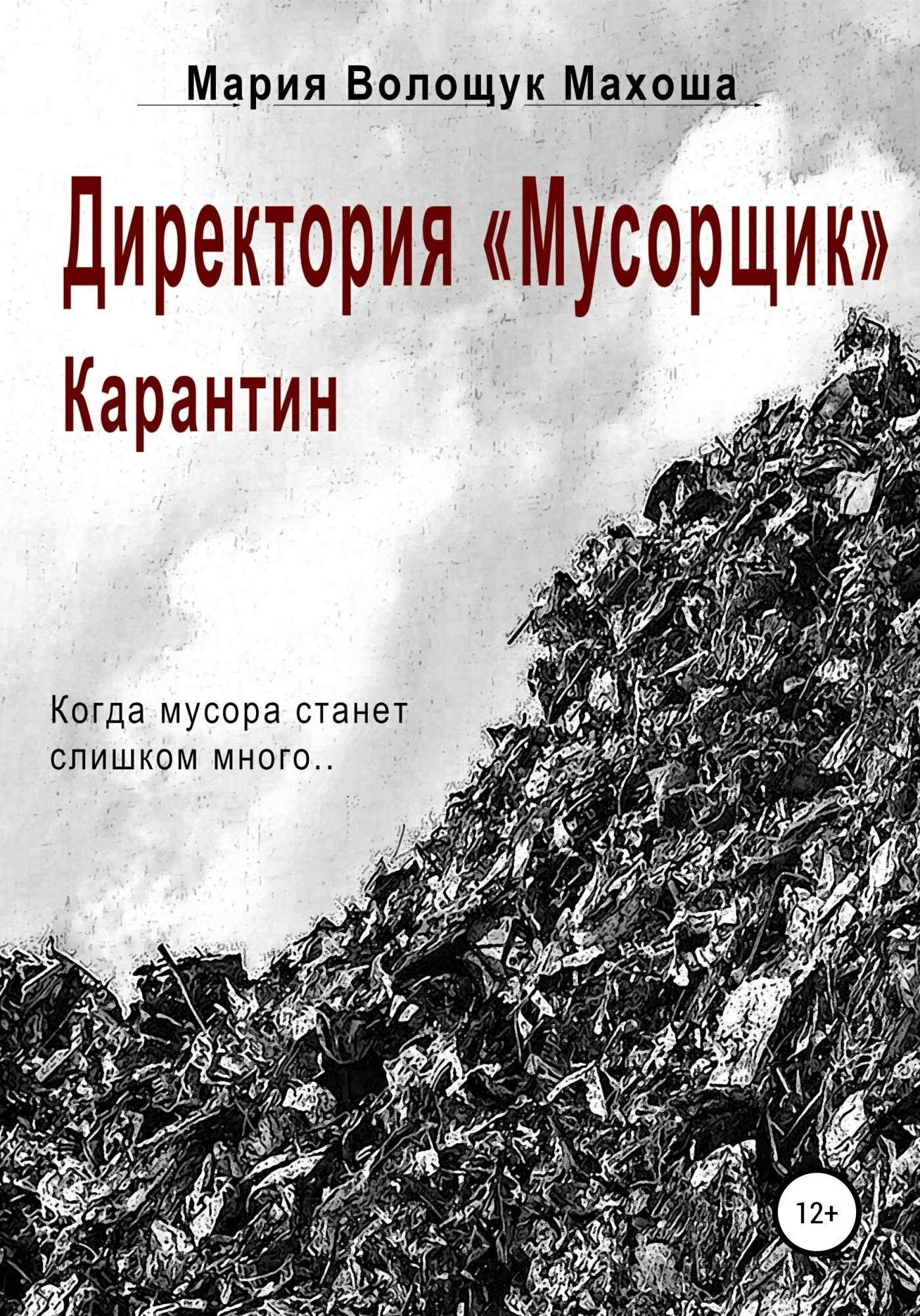 Мусорщики 2 аудиокнига. Книга мусорщик. книги космические мусорщики. книги на карантине.