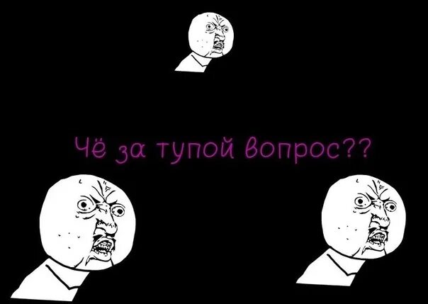 Глупые вопросы. Тупые вопросы. Самые глупые вопросы. Тупые и глупые вопросы.