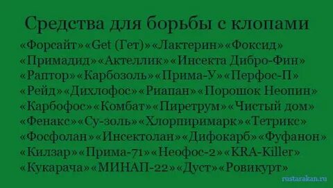 Заговор от тараканов в доме