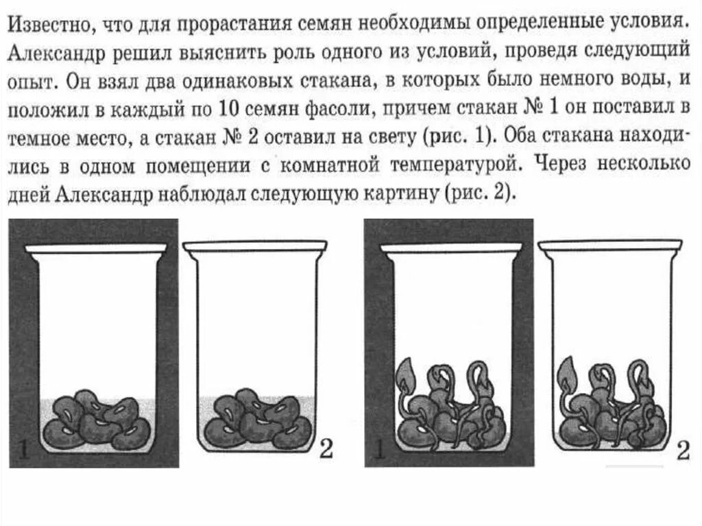 Опыты по биологии 6 класс впр. Известно что для прорастания семян необходимы определенные условия. Условия прорастания семян опыт. ВПР биология опыт прорастание семян. Известно что для прорастания семян необходимо определить условия.