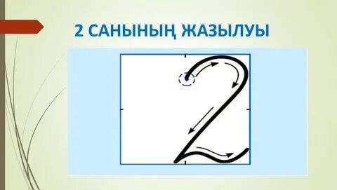 Пизканы дұрыс жалауды үйретеді