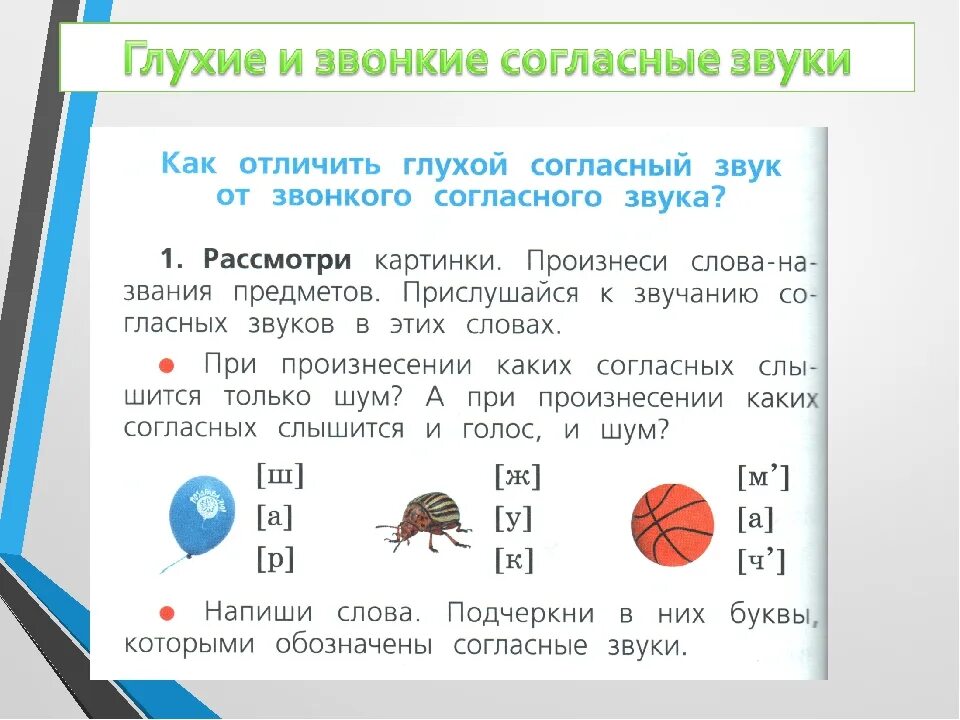 Сравни как произносятся корни слов. Обозначение звонких и глухих согласных. Глухие согласные буквы 1 класс. Обозначение мягкого звука. Звонкие и глухие звуки.