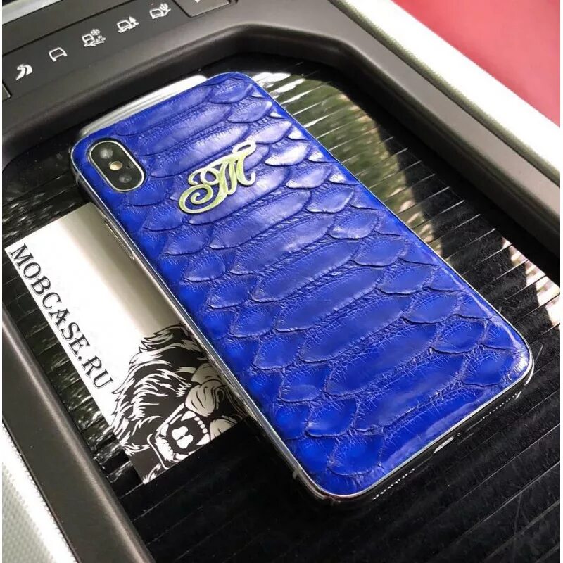 Pro max 10. Чехол из кожи питона для iphone xs max. чехол для iphone 12 pro max из кожи пито. чехол xs max hermes. чехол iphone xs max platina.