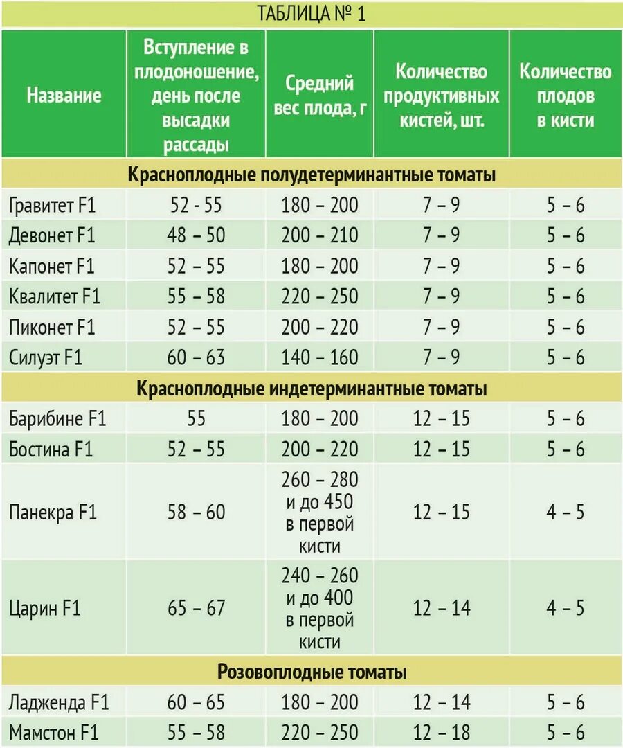 Можно ли сегодня сажать помидоры на рассаду. Посадка томатов на рассаду. Таблица выращивания рассады томатов. Посадка томатов в открытый грунт рассадой. Таблица высадки семян томатов.