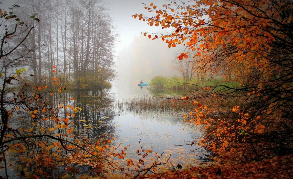 Уходящий вечер октября. Осеннее озеро. Грустная осень. Дождливая осень. Пейзаж осени.