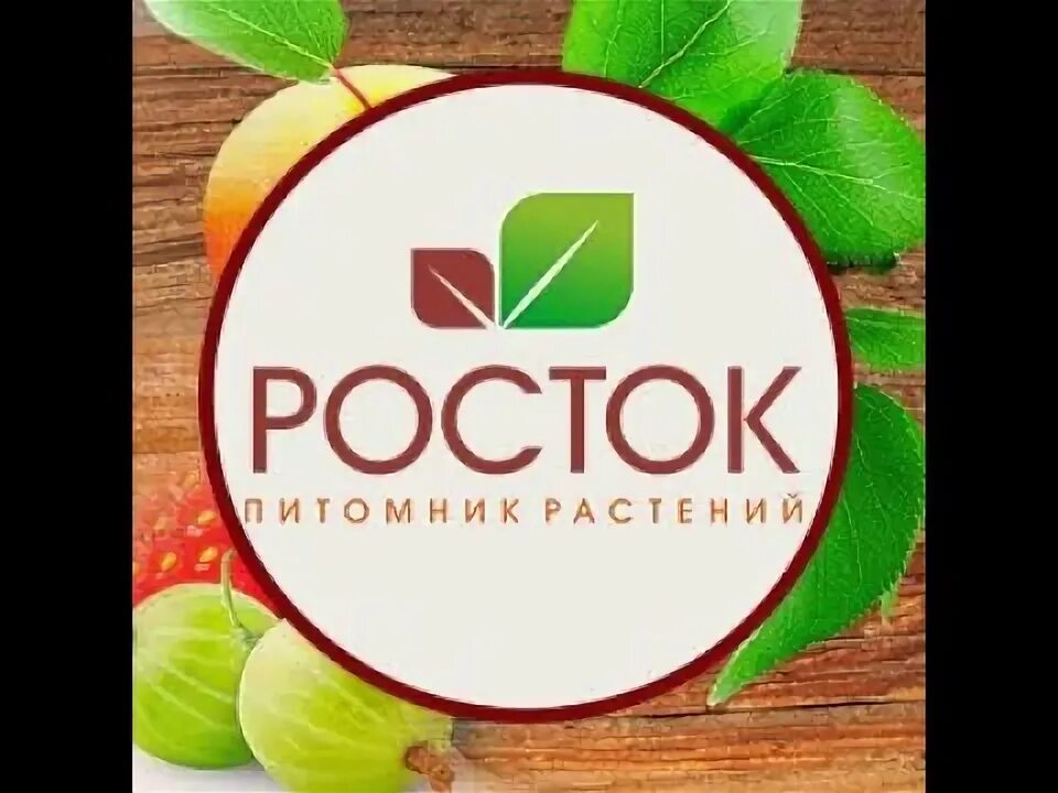 Сайт росток челябинск. Садовый центр Росток Челябинск. Челябинский питомник Росток. Челябинский питомник саженцев Росток. Челябинская область питомник Росток.