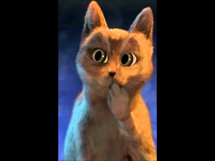 How I look after the holidays...... Cartoon pics, Cute memes, Funny images