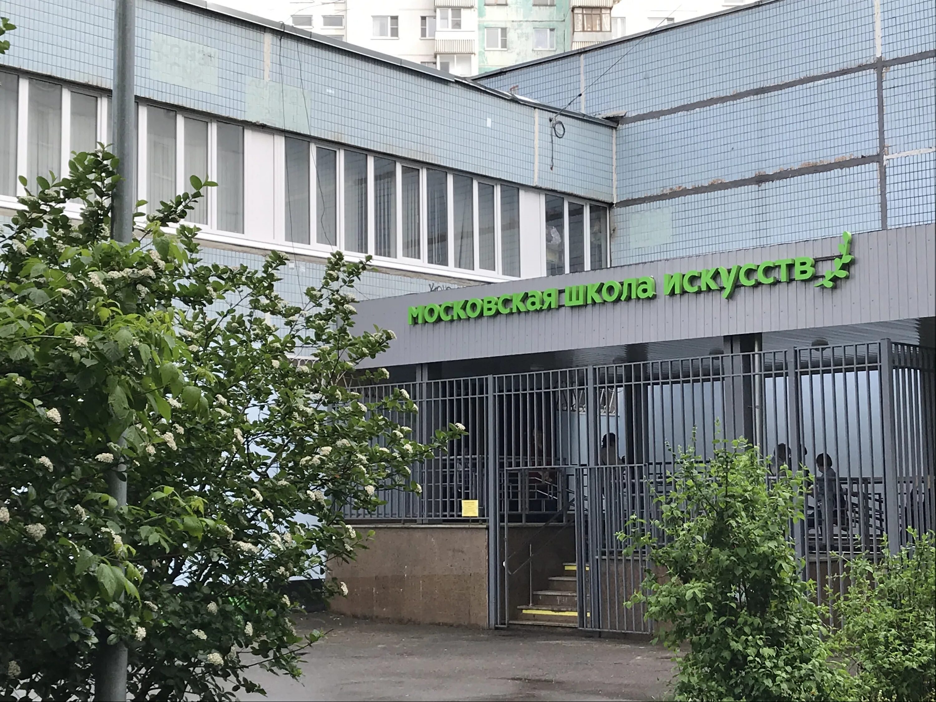 яя цдт солисты. детские мероприятия. музыкальная школа строгино. музыкальная школа строгино. музыкальная школа иваново виолончель.