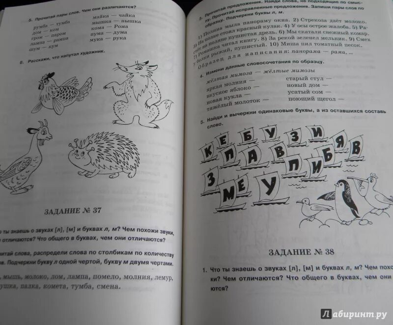 Задание логопеда 3 класс. Задание логопеда 3 класс