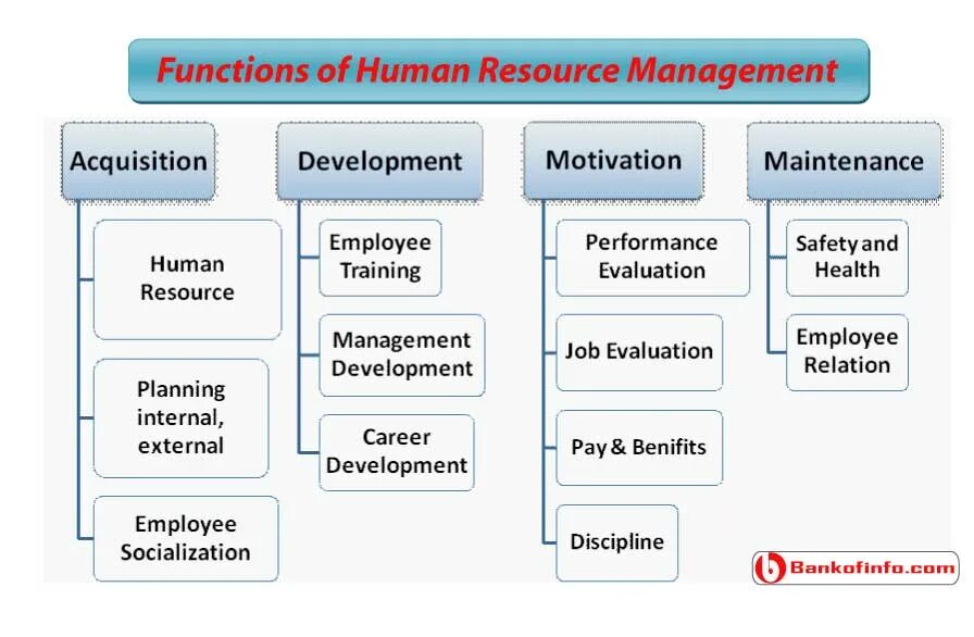 Functions of Human resource Management. HRM functions. Функции Human resources. HR functions. Manager functions