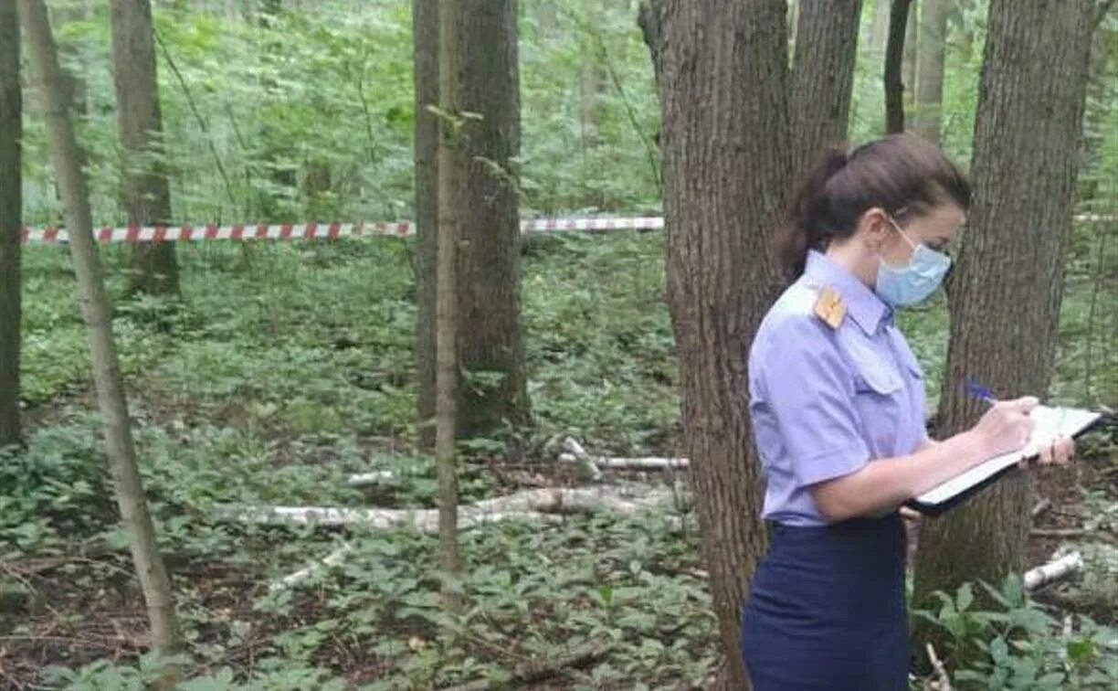 Нашли девочку ушедшую в лес. Место преступления в лесу. убийство в лесу девочки.