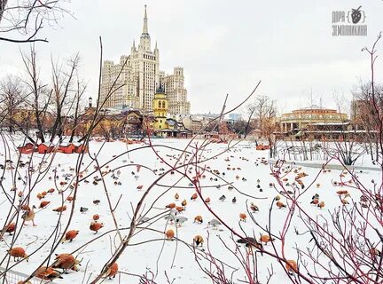 Работает ли московский