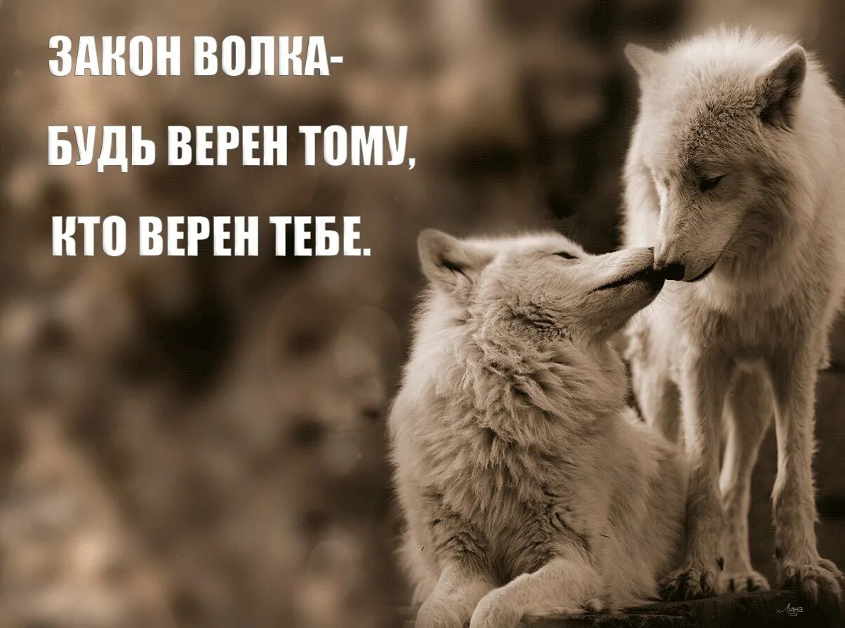 Вернее есть