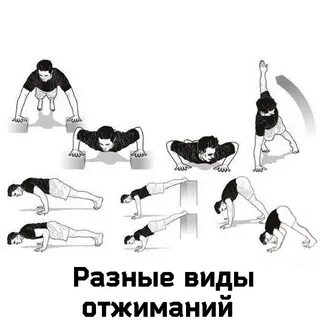 Виды отжиманий