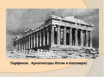 Первых ее видов как