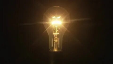 Ең ұзын еркек жыныс мүшесі