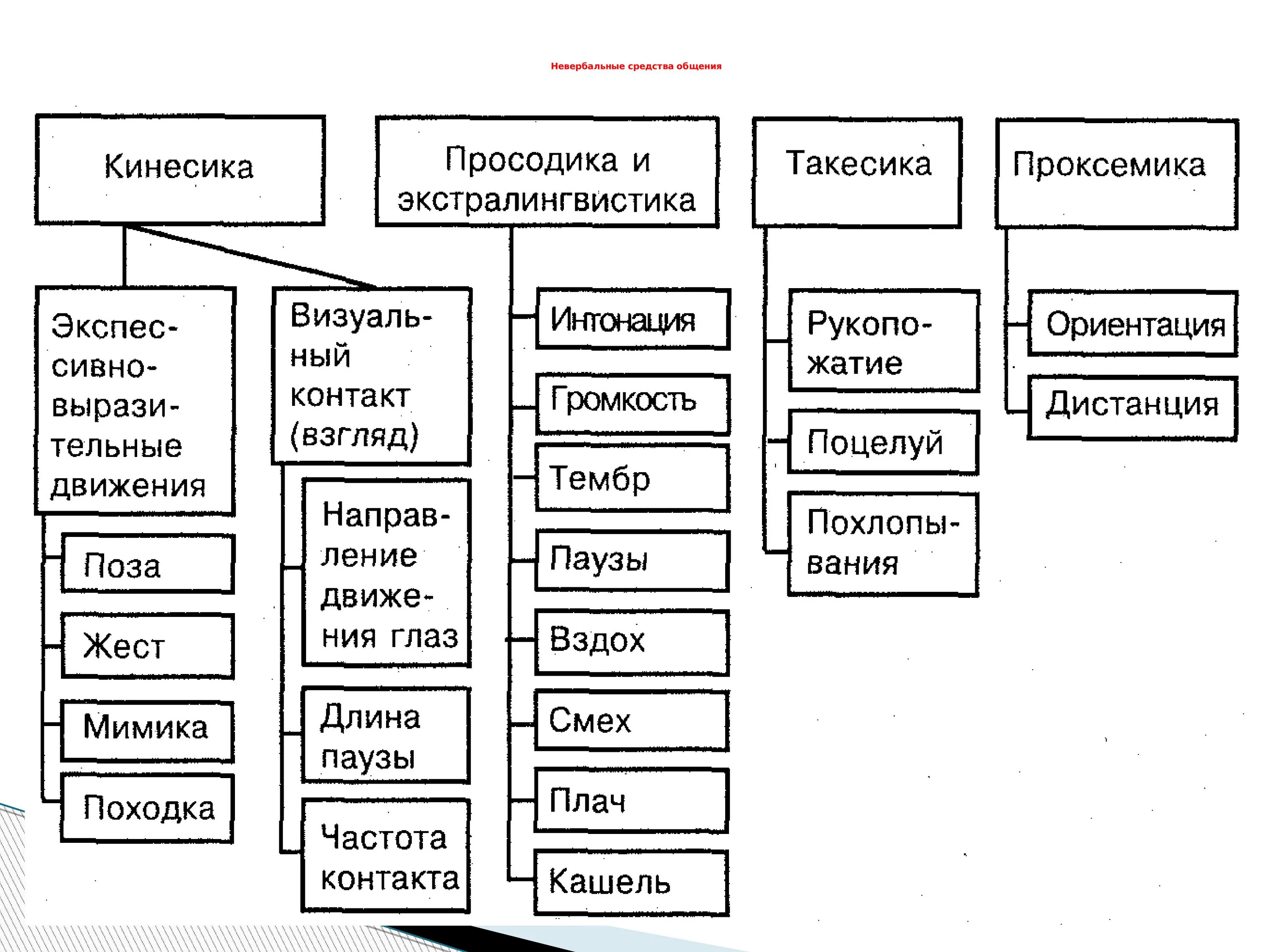 Такесика это