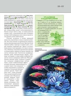 Рыба геншин время