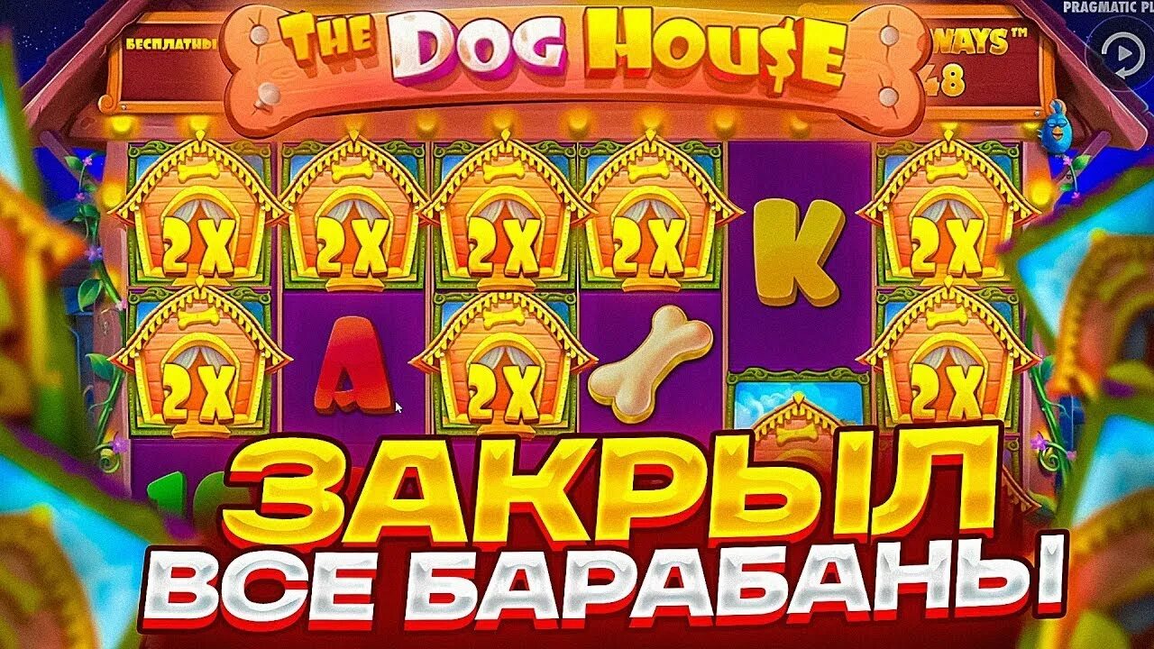 Слот дог хаус мегавейс dogs house net. Дог Хаус занос. Занос в the Dog House. Занос слот Dog House Megawa. Дог Хаус Мегавейс.