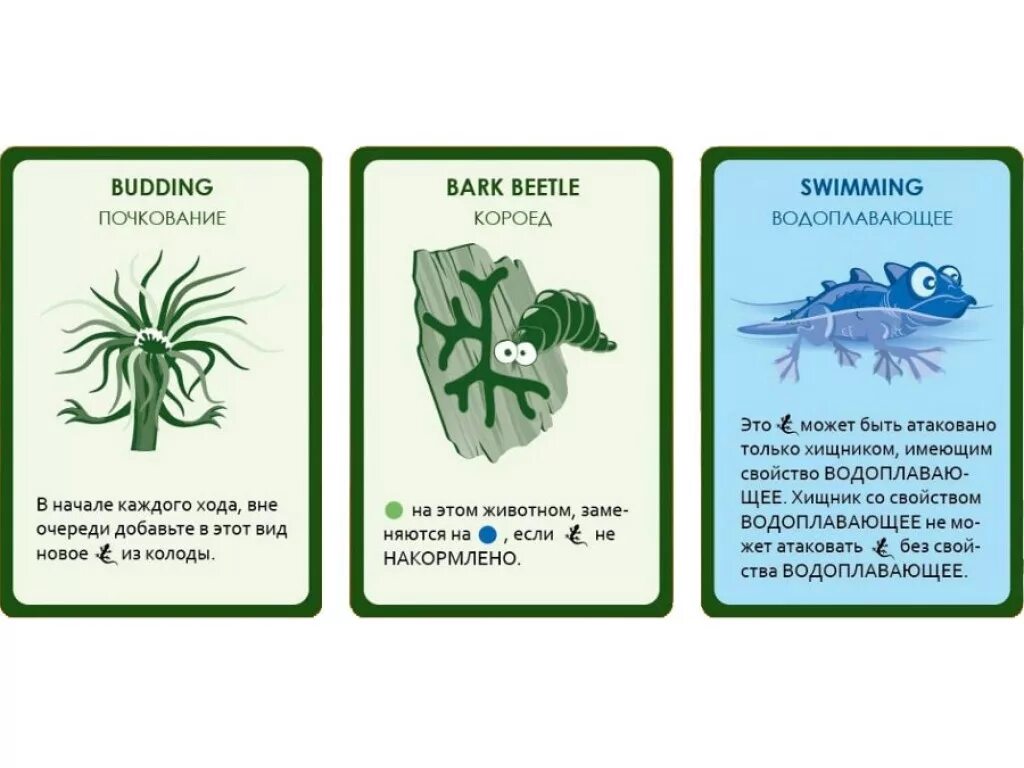 Настольная игра Эволюция случайные мутации. Эволюция настольная игра. Эволюция случайные мутации карты. Эволюция растения настольная игра. Игра эволюция карта