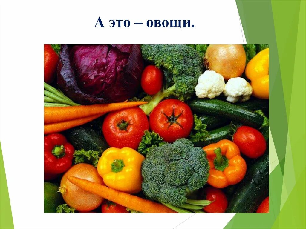 Овощи будут расти. Выращивать овощи. Овощеводство в Алтайском крае. Кладовые овощные культуры. Слайд что такое овощеводство.