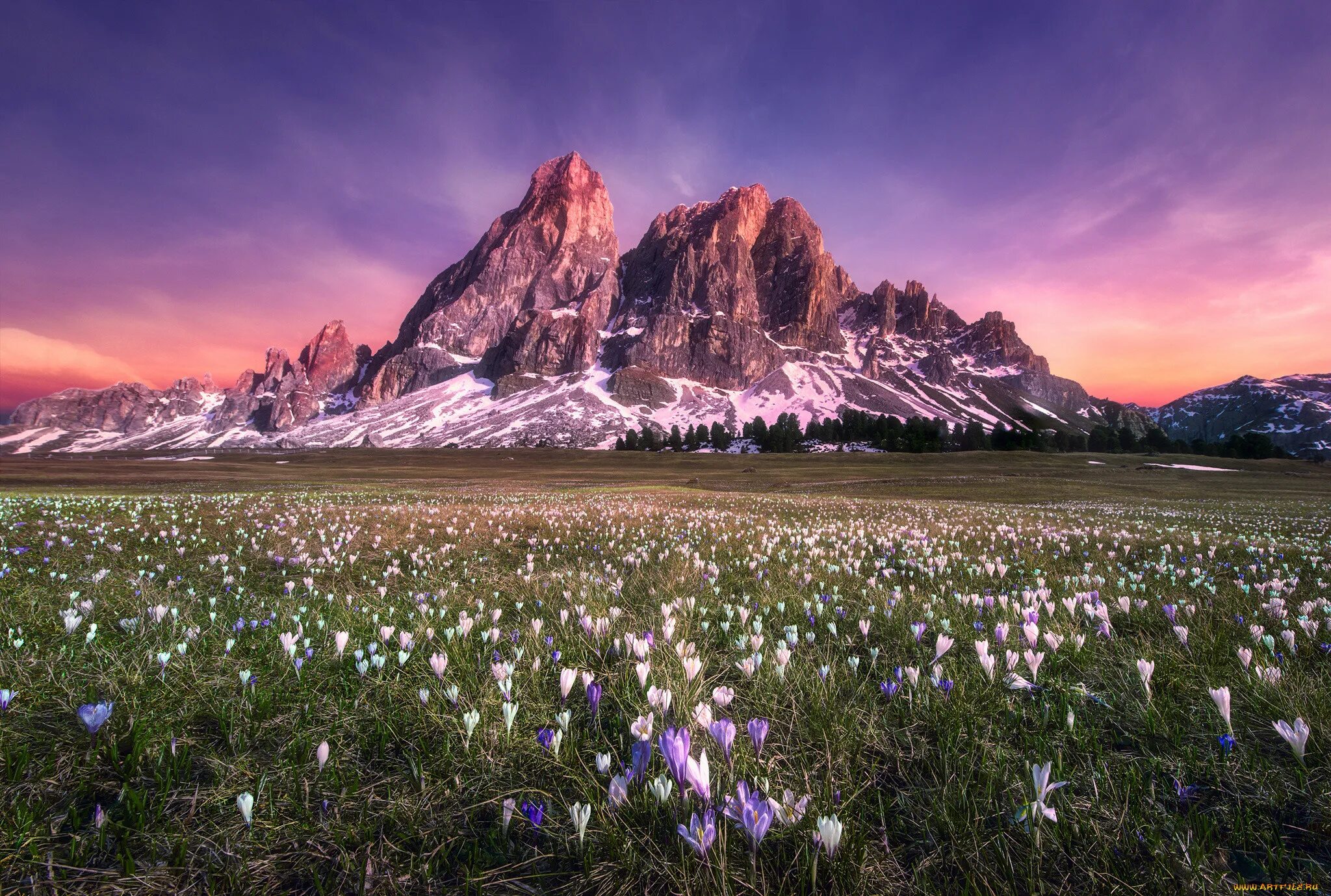 Flowers valley. Альпийские Луга новая Зеландия. Доломитовые Альпы закат. Альпийские Луга Альпы. Пейзаж.