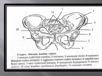 Ерекше орындардағы секс видео