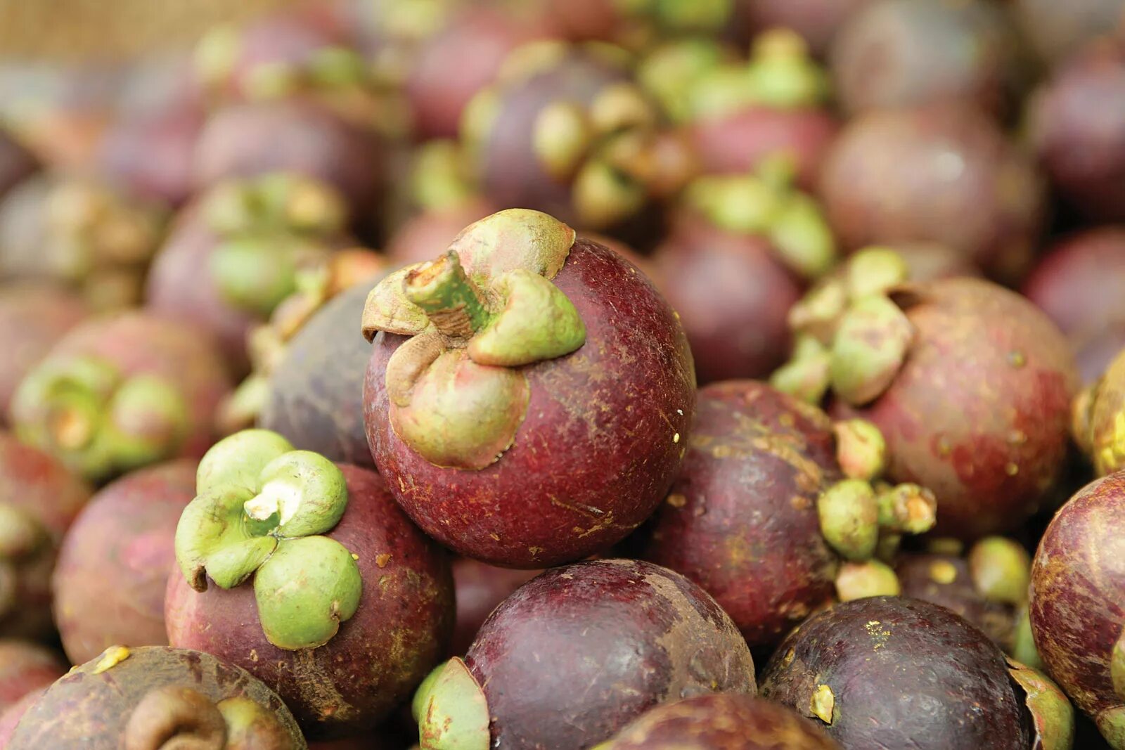 Оранжевый сухофрукт название. Красивые тропические фрукты. Фрукты из средней азии. Экзотический фрукт дуриан. Инжир далматский.