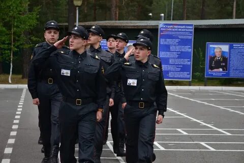 Полиция сосново