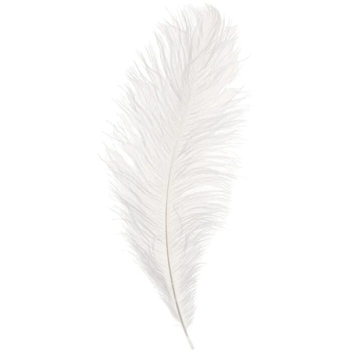 Feather 6