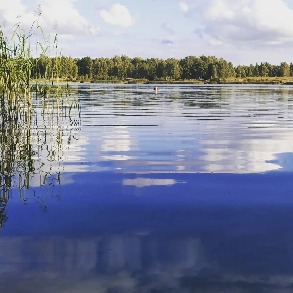 Озеро святое Шатура. Озеро святое Рязанская область Шиловский. Святое озеро (Шатурский район). Озеро святое Мещера.